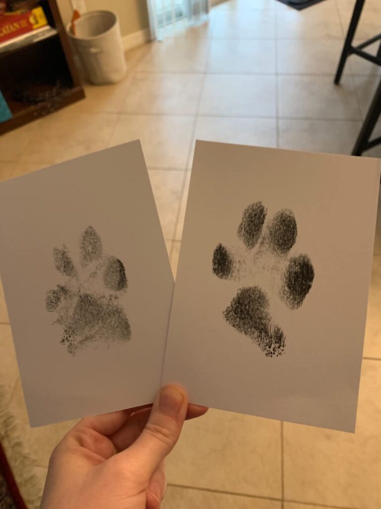 Obrazek #1 z Michał