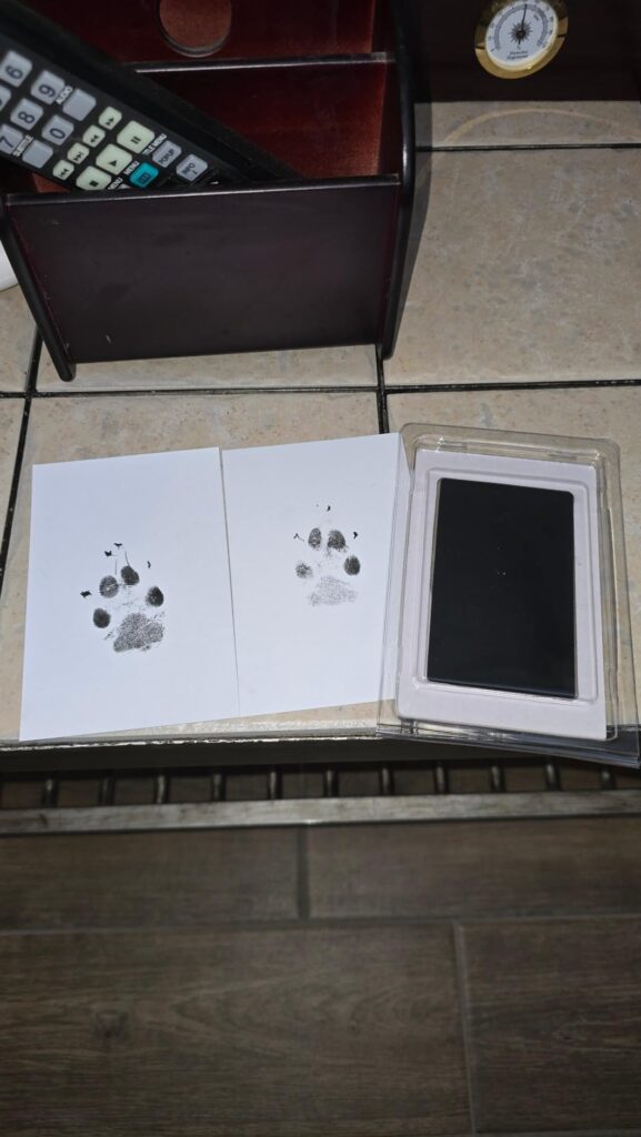 Obrazek #1 z Aleksandra