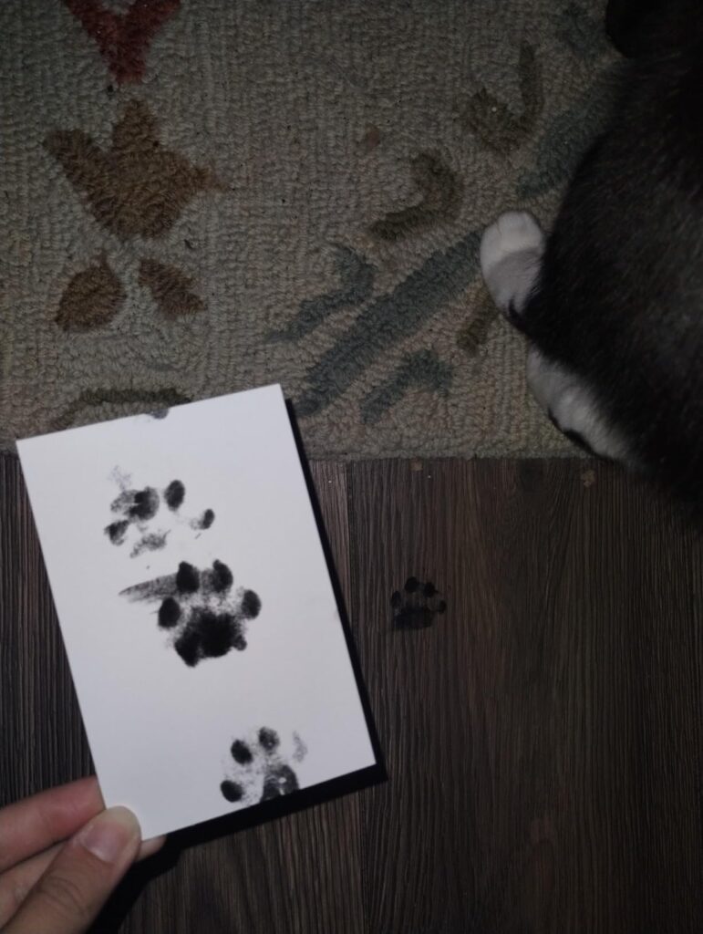 Obrazek #1 z Marzena